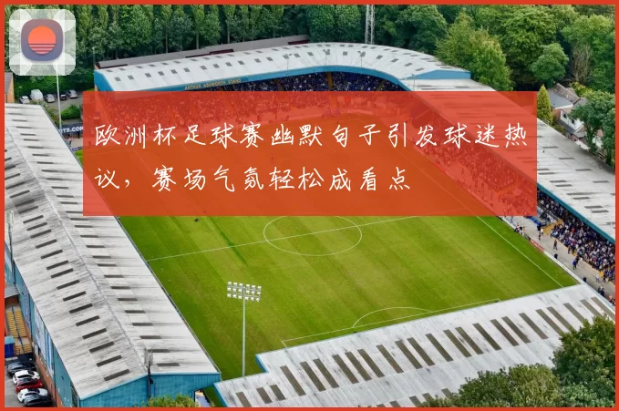 欧洲杯足球赛幽默句子引发球迷热议,赛场气氛轻松成看点