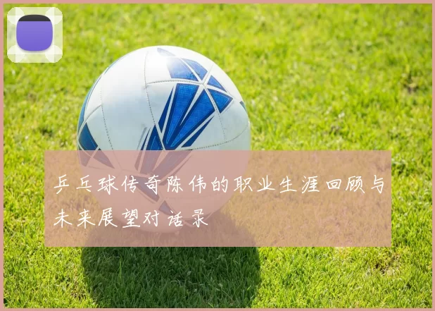 乒乓球传奇陈伟的职业生涯回顾与未来展望对话录