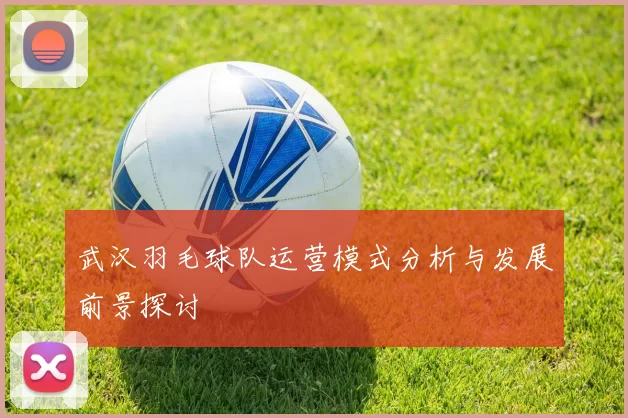 武汉羽毛球队运营模式分析与发展前景探讨