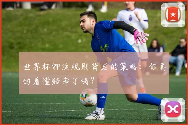 世界杯押注规则背后的策略：你真的看懂赔率了吗？