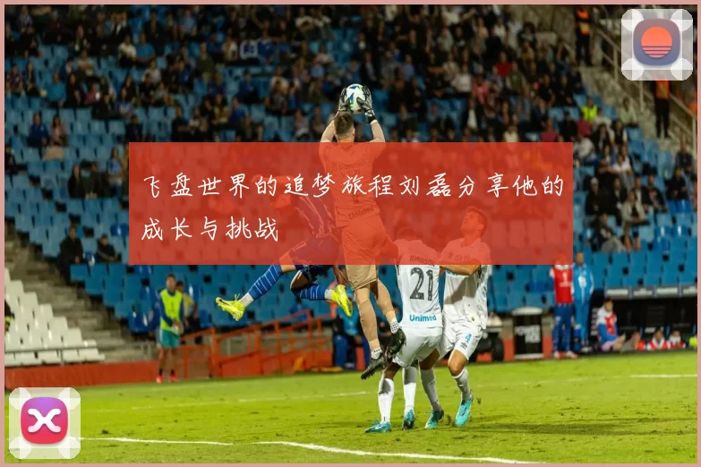 飞盘世界的追梦旅程刘磊分享他的成长与挑战