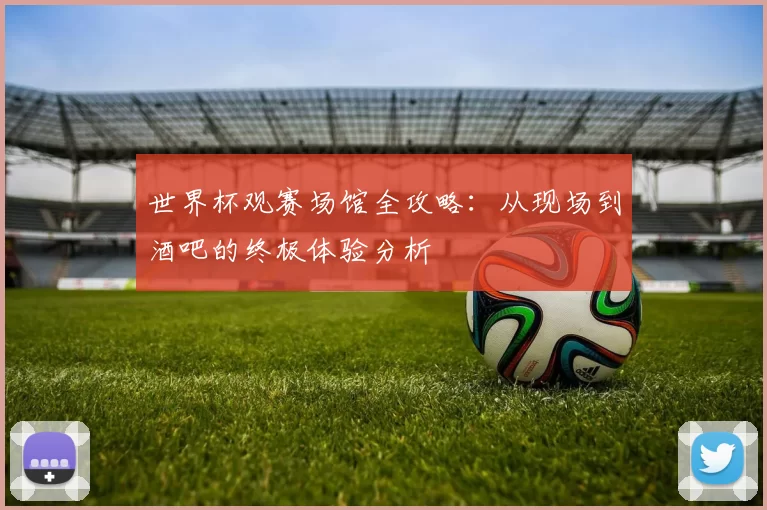 世界杯观赛场馆全攻略:从现场到酒吧的终极体验分析