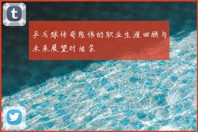 乒乓球传奇陈伟的职业生涯回顾与未来展望对话录