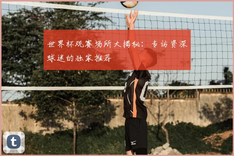 世界杯观赛场所大揭秘:专访资深球迷的独家推荐
