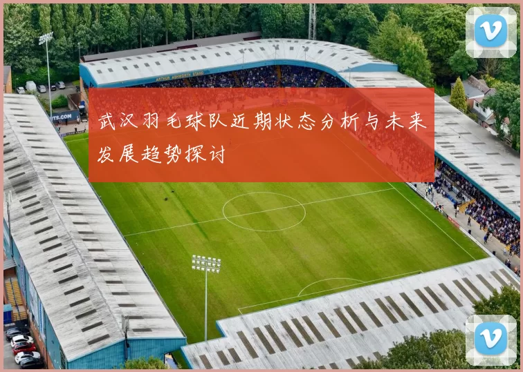 武汉羽毛球队近期状态分析与未来发展趋势探讨