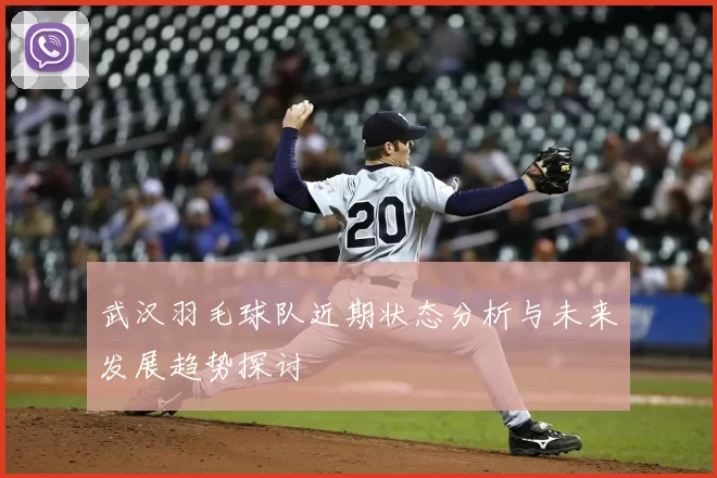 武汉羽毛球队近期状态分析与未来发展趋势探讨
