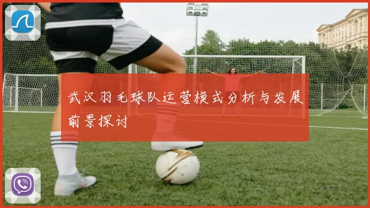 武汉羽毛球队运营模式分析与发展前景探讨