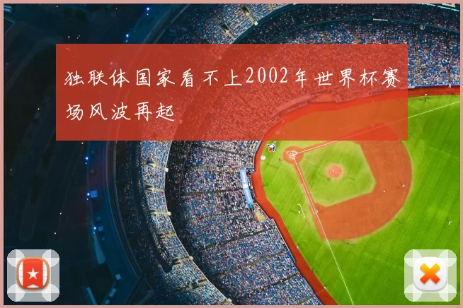 独联体国家看不上2002年世界杯赛场风波再起