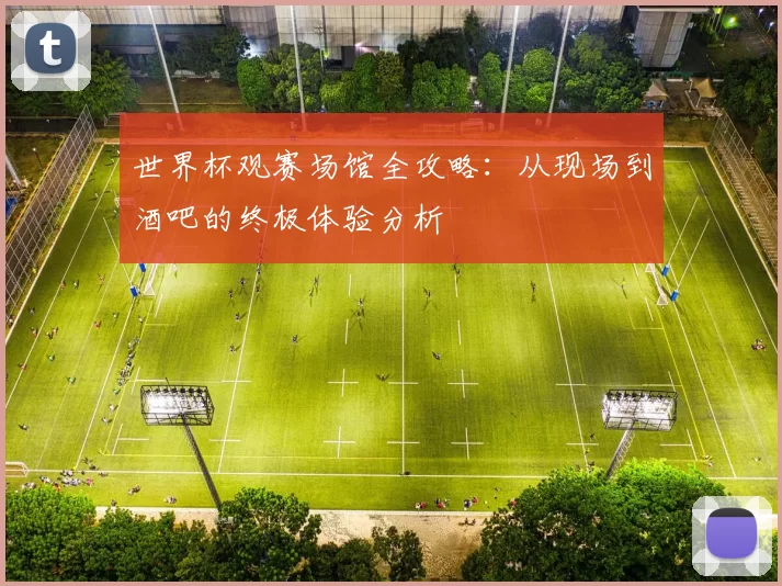 世界杯观赛场馆全攻略:从现场到酒吧的终极体验分析