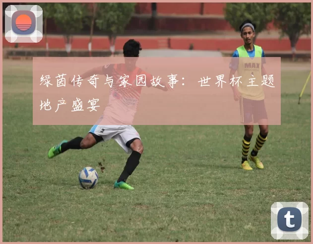 绿茵传奇与家园故事：世界杯主题地产盛宴