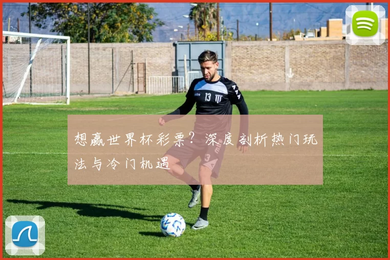 想赢世界杯彩票?深度剖析热门玩法与冷门机遇